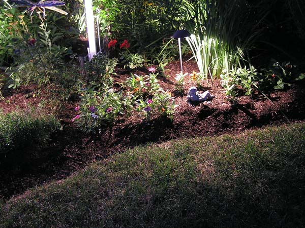 CFC Landscape Lighting :: Portfolio Gallery