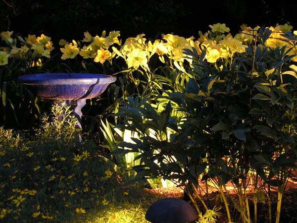 CFC Landscape Lighting :: Portfolio Gallery