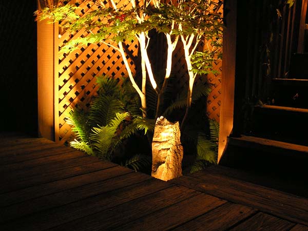 CFC Landscape Lighting :: Portfolio Gallery