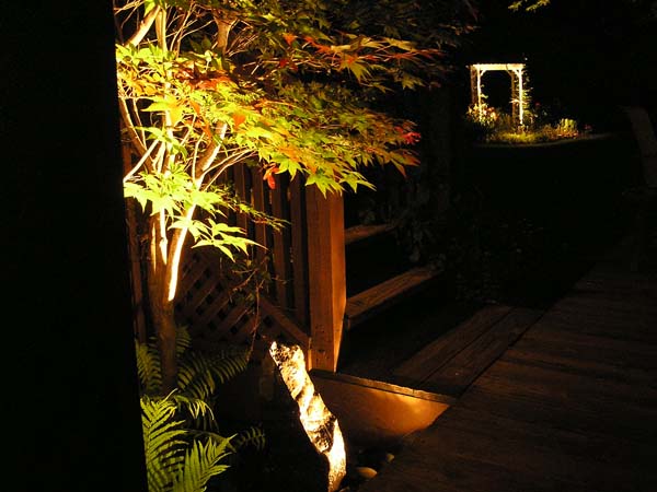 CFC Landscape Lighting :: Portfolio Gallery