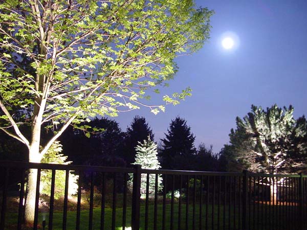 CFC Landscape Lighting :: Portfolio Gallery